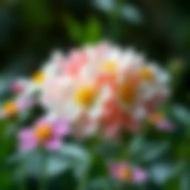 Impact of flowers on children's cognitive growth