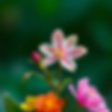 Emotional benefits of flowers in child development