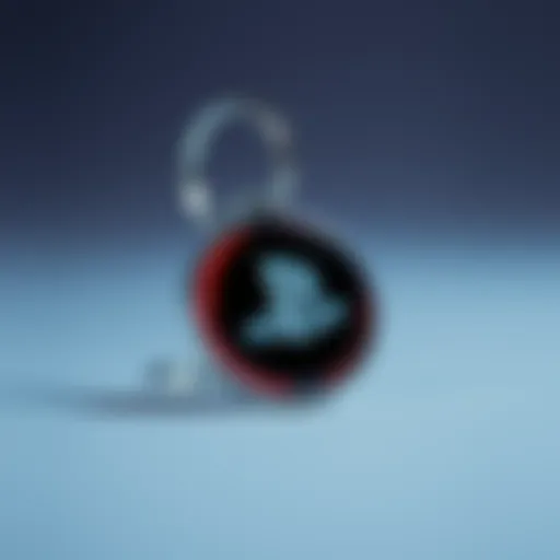 Stylish PlayStation keychain showcasing iconic logo