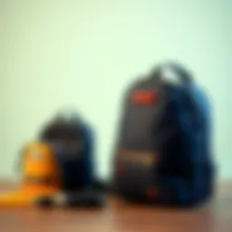 Stylish boy's school bag design