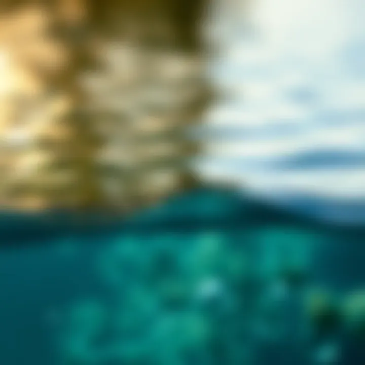 A serene water scene illustrating the beauty and tranquility of nature