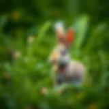 A serene depiction of a rabbit in a lush green meadow, symbolizing tranquility and nature.