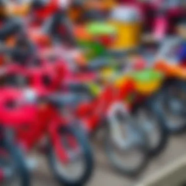 Different types of children's bicycles displayed together